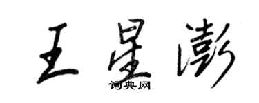 王正良王星澎行書個性簽名怎么寫