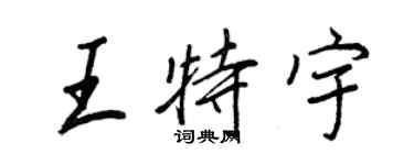王正良王特宇行書個性簽名怎么寫