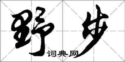 胡問遂野步行書怎么寫