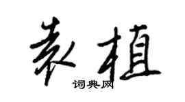 王正良袁植行書個性簽名怎么寫