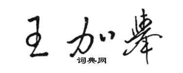 駱恆光王加舉草書個性簽名怎么寫