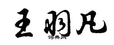 胡問遂王羽凡行書個性簽名怎么寫