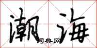 段相林潮海行書怎么寫