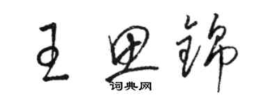 駱恆光王思錦草書個性簽名怎么寫