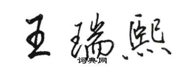 駱恆光王瑞熙行書個性簽名怎么寫