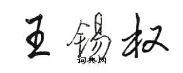 駱恆光王錫權行書個性簽名怎么寫