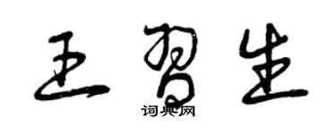 曾慶福王習生草書個性簽名怎么寫