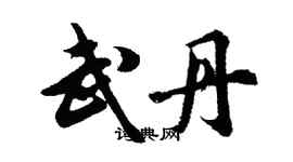 胡問遂武丹行書個性簽名怎么寫