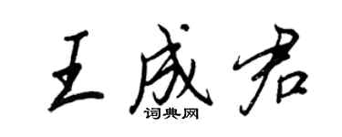 王正良王成君行書個性簽名怎么寫