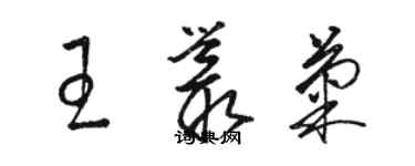 駱恆光王叢菊草書個性簽名怎么寫