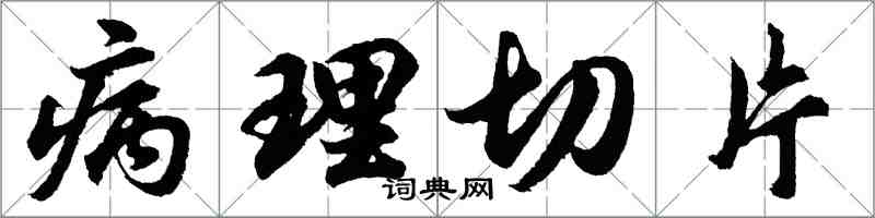 胡問遂病理切片行書怎么寫