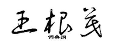 曾慶福王根茂草書個性簽名怎么寫