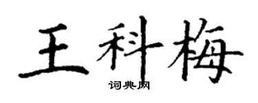 丁謙王科梅楷書個性簽名怎么寫