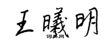 王正良王曦明行書個性簽名怎么寫