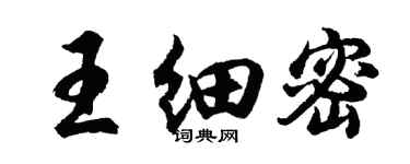 胡問遂王細密行書個性簽名怎么寫