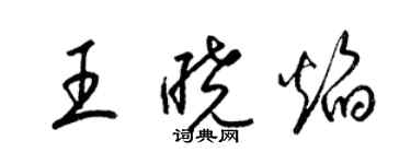 梁錦英王曉焰草書個性簽名怎么寫