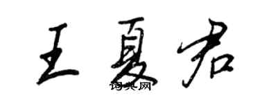 王正良王夏君行書個性簽名怎么寫