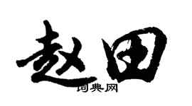 胡問遂趙田行書個性簽名怎么寫