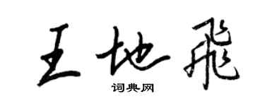王正良王地飛行書個性簽名怎么寫