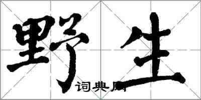 翁闓運野生楷書怎么寫