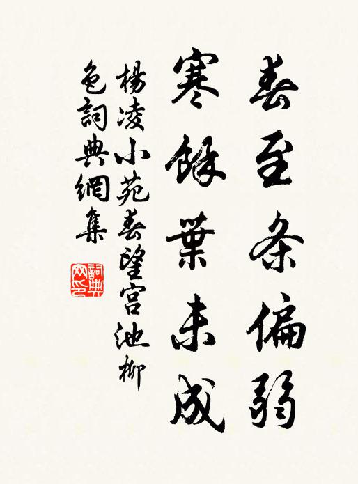 拄杖掉頭徑去，新來常愛登臨 詩詞名句