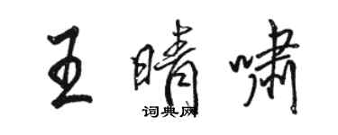 駱恆光王晴嘯行書個性簽名怎么寫