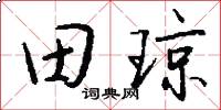 田瓊怎么寫好看