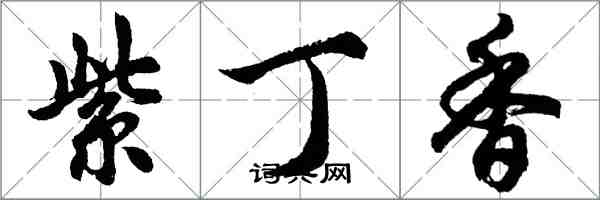 胡問遂紫丁香行書怎么寫