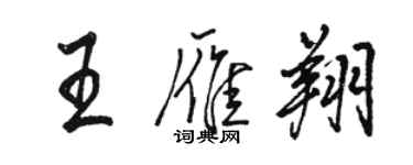 駱恆光王雁翔行書個性簽名怎么寫