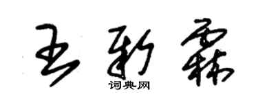 朱錫榮王新霖草書個性簽名怎么寫