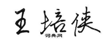 駱恆光王培俠行書個性簽名怎么寫