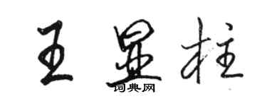 駱恆光王顯柱行書個性簽名怎么寫