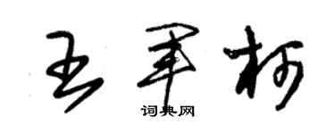 朱錫榮王軍柯草書個性簽名怎么寫