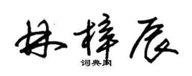 朱錫榮林梓辰草書個性簽名怎么寫