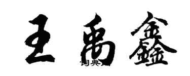 胡問遂王禹鑫行書個性簽名怎么寫