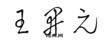 駱恆光王開元草書個性簽名怎么寫