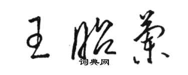 駱恆光王昭蘭草書個性簽名怎么寫