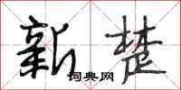 段相林新楚行書怎么寫