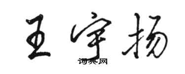 駱恆光王宇揚行書個性簽名怎么寫