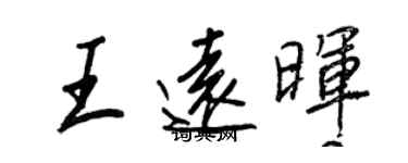 王正良王遠暉行書個性簽名怎么寫