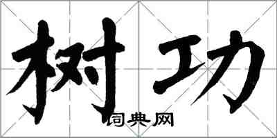 翁闓運樹功楷書怎么寫