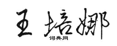 駱恆光王培娜行書個性簽名怎么寫
