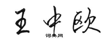 駱恆光王中歐行書個性簽名怎么寫