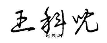 曾慶福王科兒草書個性簽名怎么寫