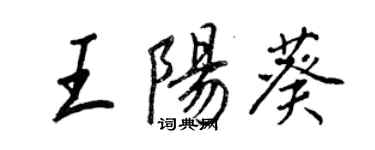 王正良王陽葵行書個性簽名怎么寫