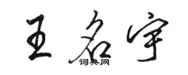 駱恆光王名宇行書個性簽名怎么寫