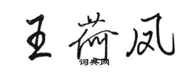 駱恆光王荷鳳行書個性簽名怎么寫