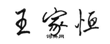 駱恆光王家恆行書個性簽名怎么寫