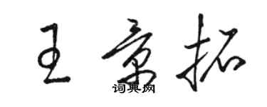 駱恆光王景拓草書個性簽名怎么寫