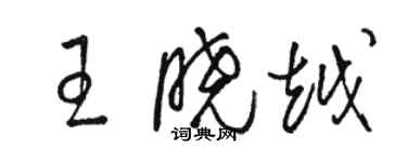 駱恆光王曉越草書個性簽名怎么寫